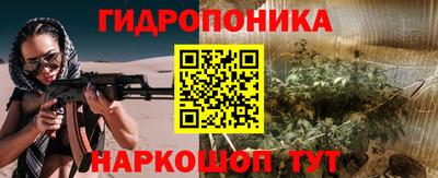 прущие грибы Можга