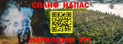 мяу мяу мука Малгобек