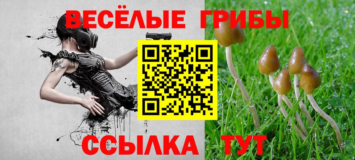 Галлюциногенные грибы Cubensis Южноуральск