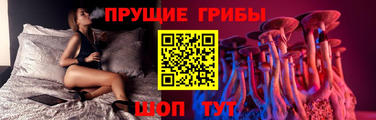 Южноуральск  Псилоцибиновые грибы Magic Shrooms  Вход с VPN 